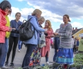 GALERII Euroopa päeva tähistamine Võru Kesklinna pargis